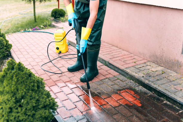Best Soft Washing for Delicate Surfaces in Rhinelander, WI